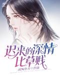 仙缘剑路