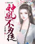 何日雁北归