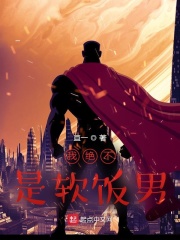 明末大寨主