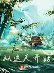赌石，我的龙瞳能鉴定一切！