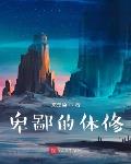破产后：写小说觉醒人皇术