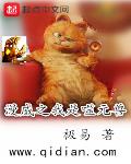 替嫁七零，你管焊火箭叫焊工？