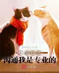 上船