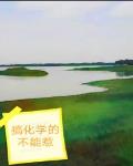 从零开始的荒野求生