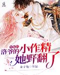 后宫太卷，娘娘咸鱼后躺赢了