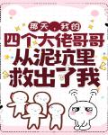 傲世苍穹，绝色帝姬她杀疯了！
