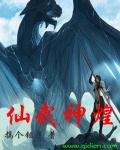 限制级幻想入侵中