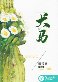 痴迷！向唯一3s级向导献上所有