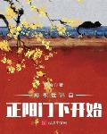 足坛破坏王